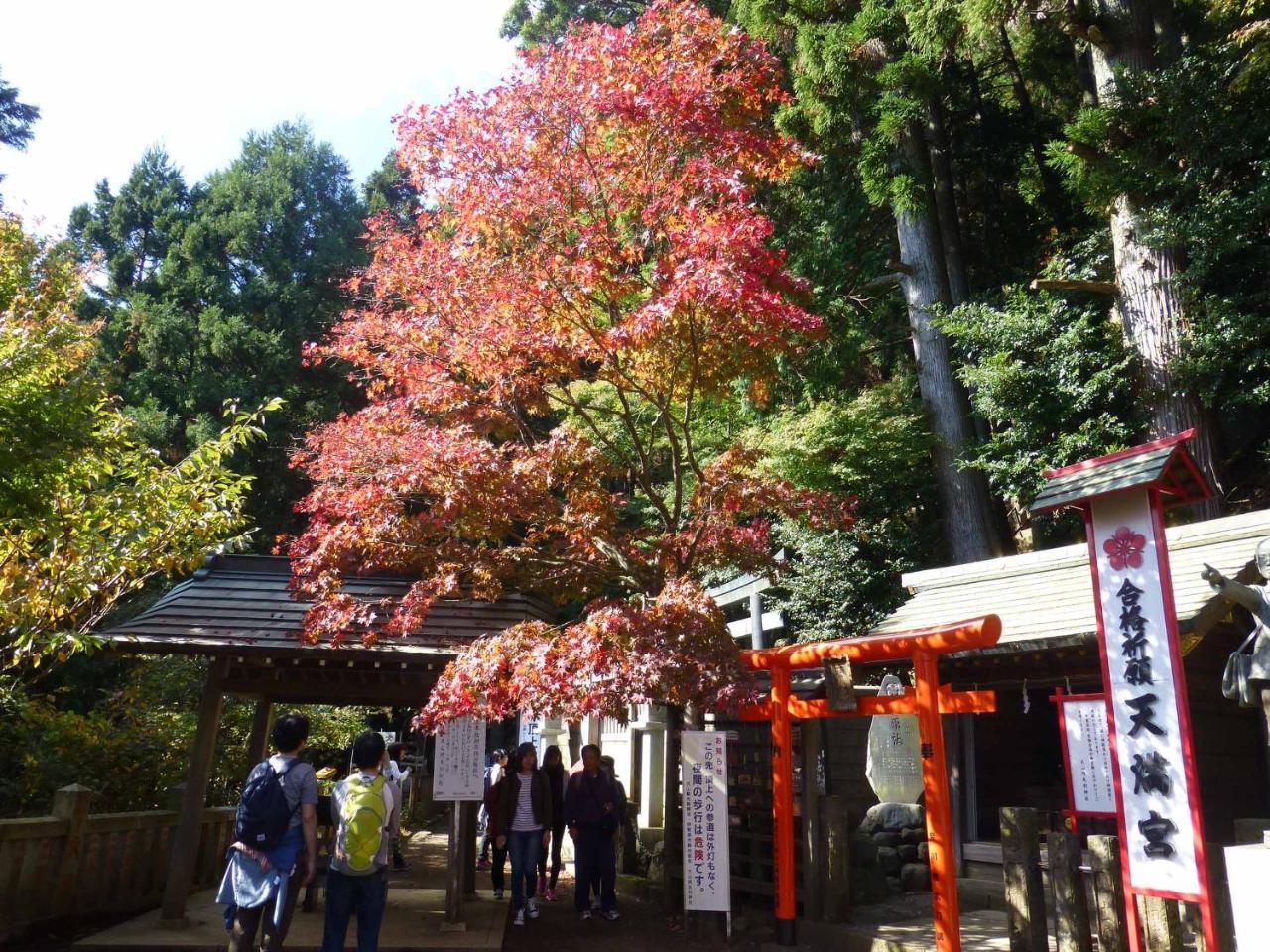 Hotel Togakubo à Isehara Extérieur photo
